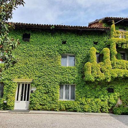 Altebas Bed & Breakfast Nogaredo di Prato Dış mekan fotoğraf